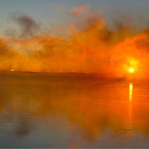 Meet your Posher, Kali